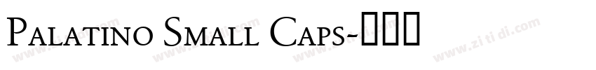 Palatino Small Caps字体转换 Palatino Small Caps字体转换